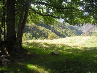 Excursiones en el monte